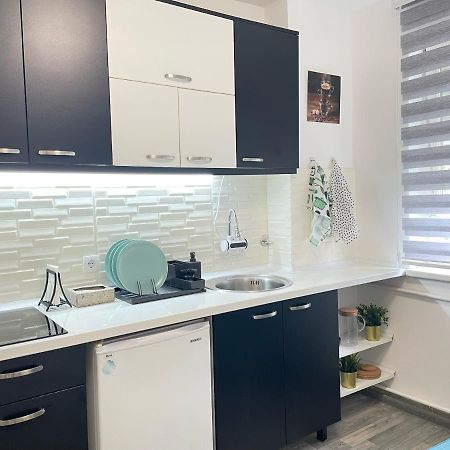 The Blue Velvet Apartment Beograd Bagian luar foto