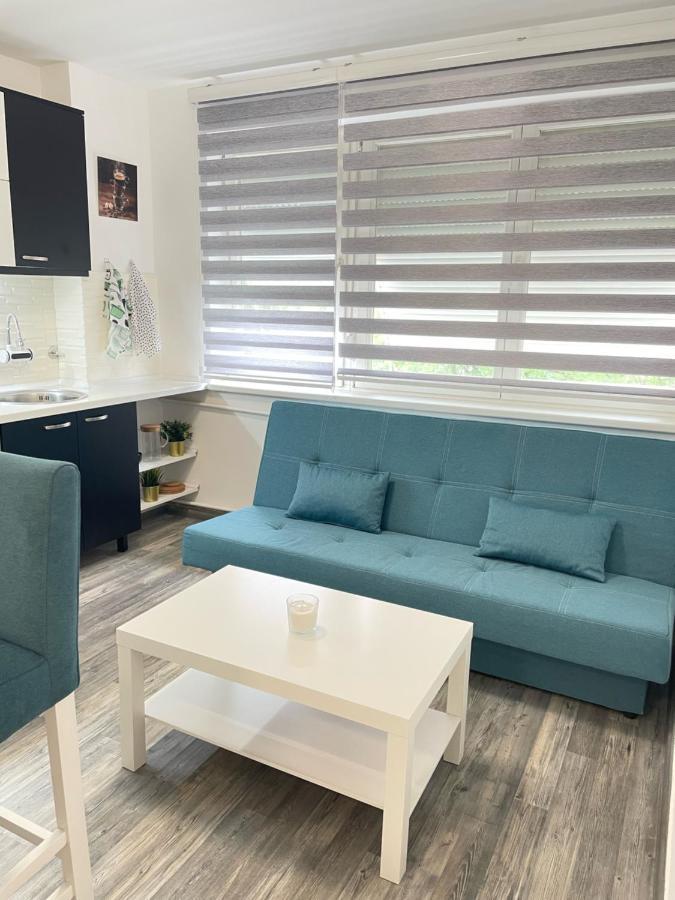 The Blue Velvet Apartment Beograd Bagian luar foto