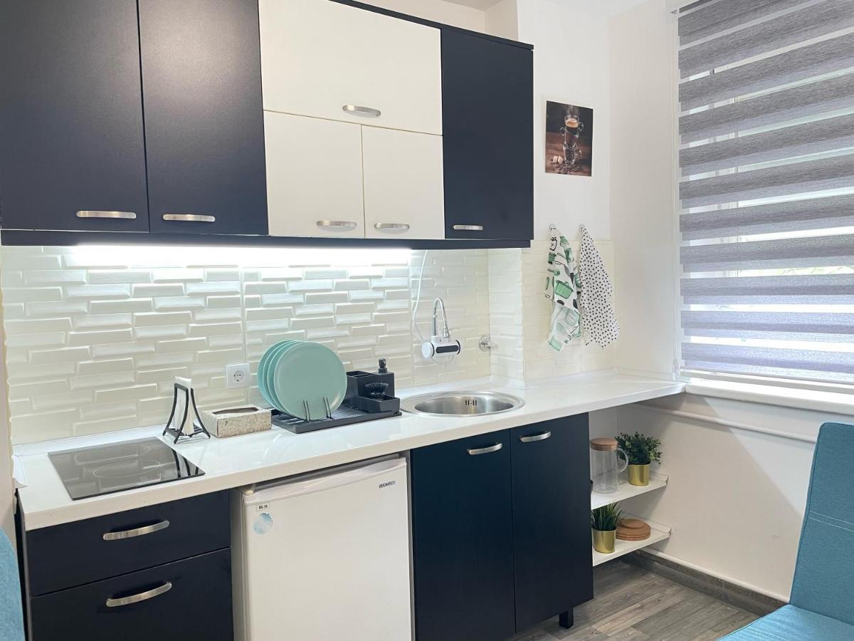 The Blue Velvet Apartment Beograd Bagian luar foto